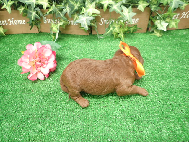 赤ちゃん写真1-3