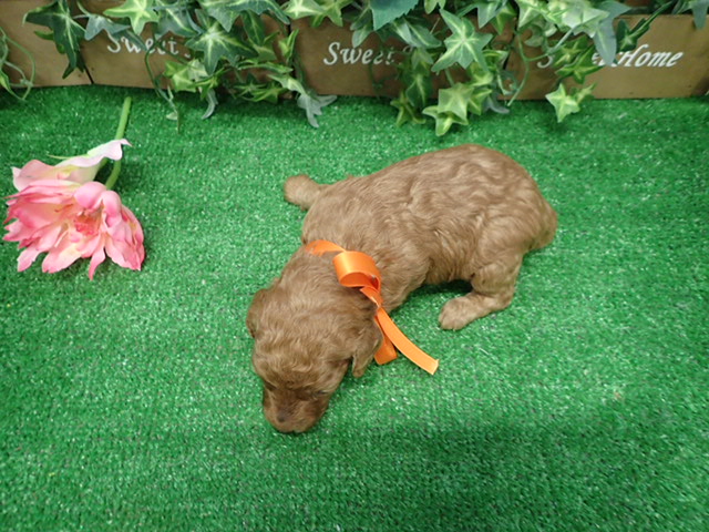 赤ちゃん写真2-3