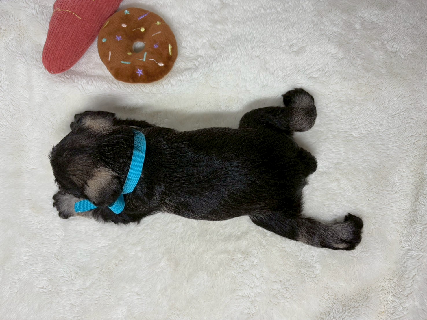 赤ちゃん写真2-3