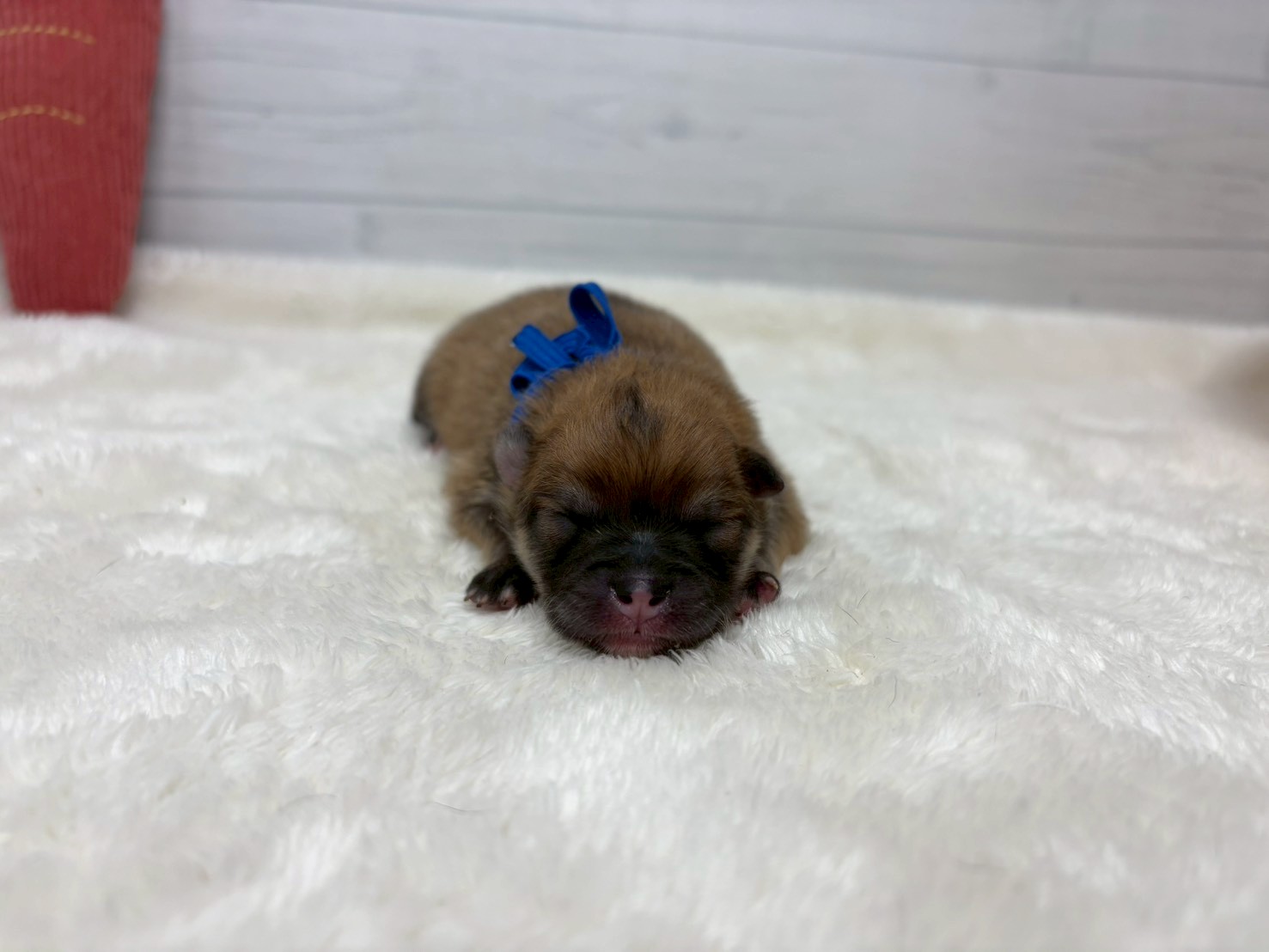 赤ちゃん写真1-1