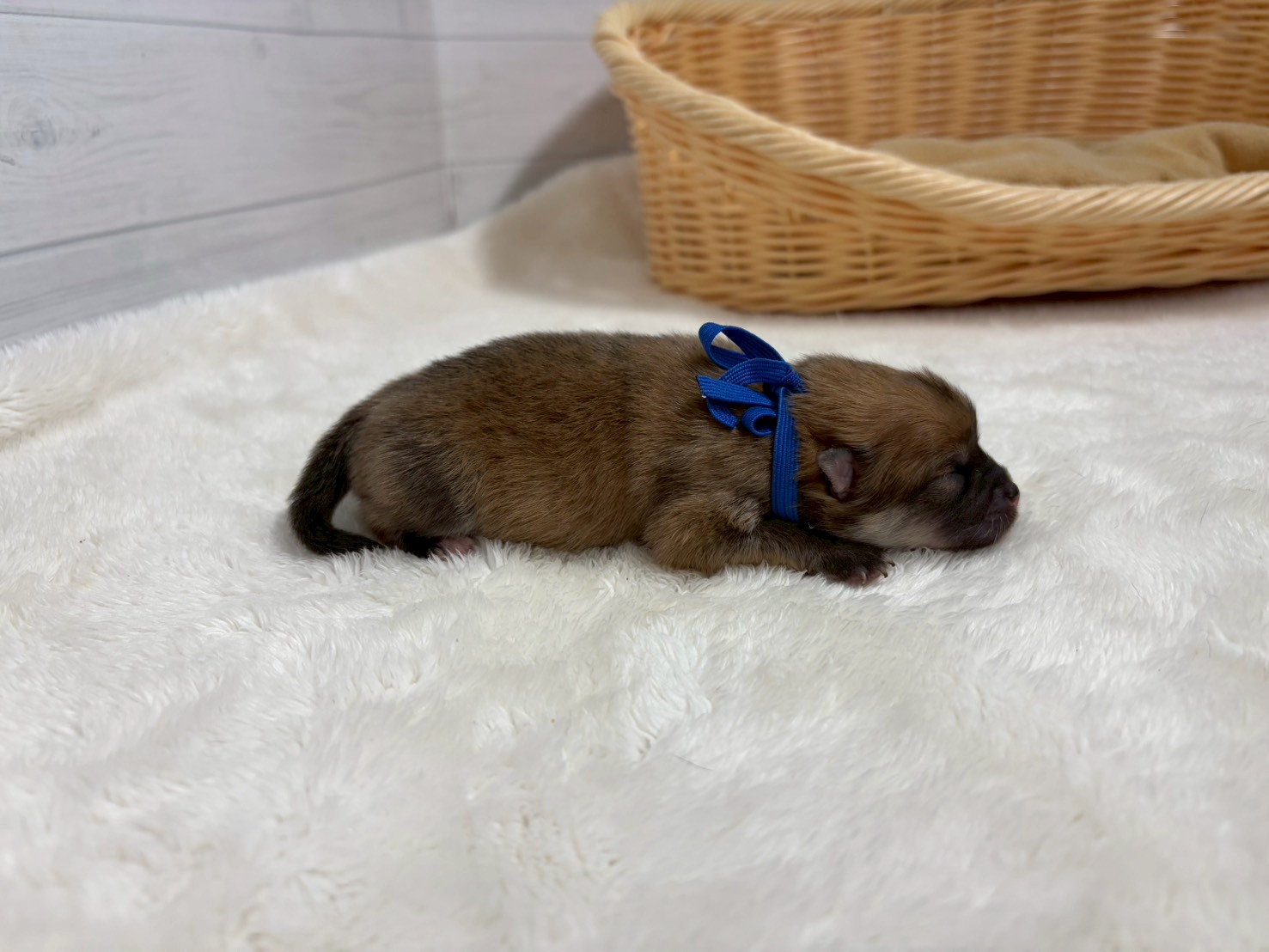 赤ちゃん写真1-2