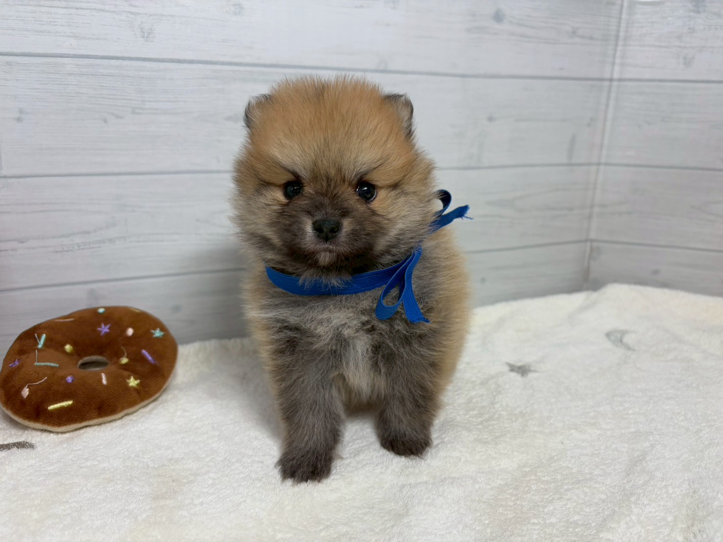 赤ちゃん写真2-1