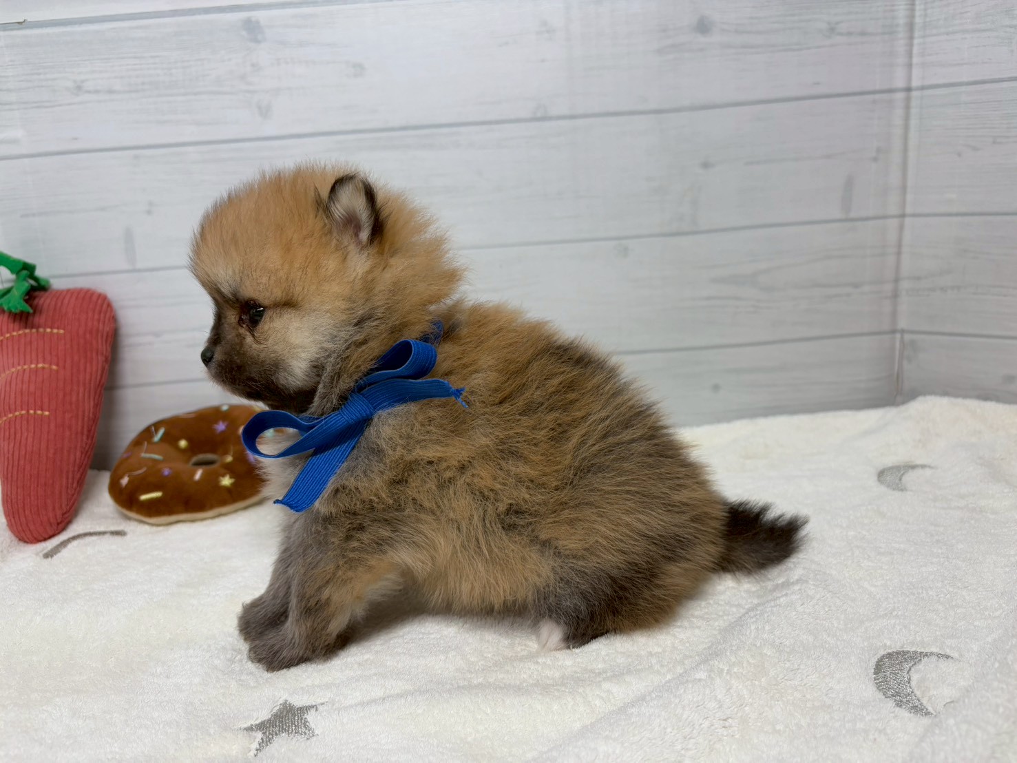 赤ちゃん写真2-2