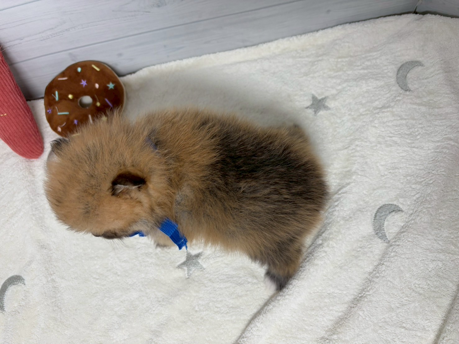 赤ちゃん写真2-3