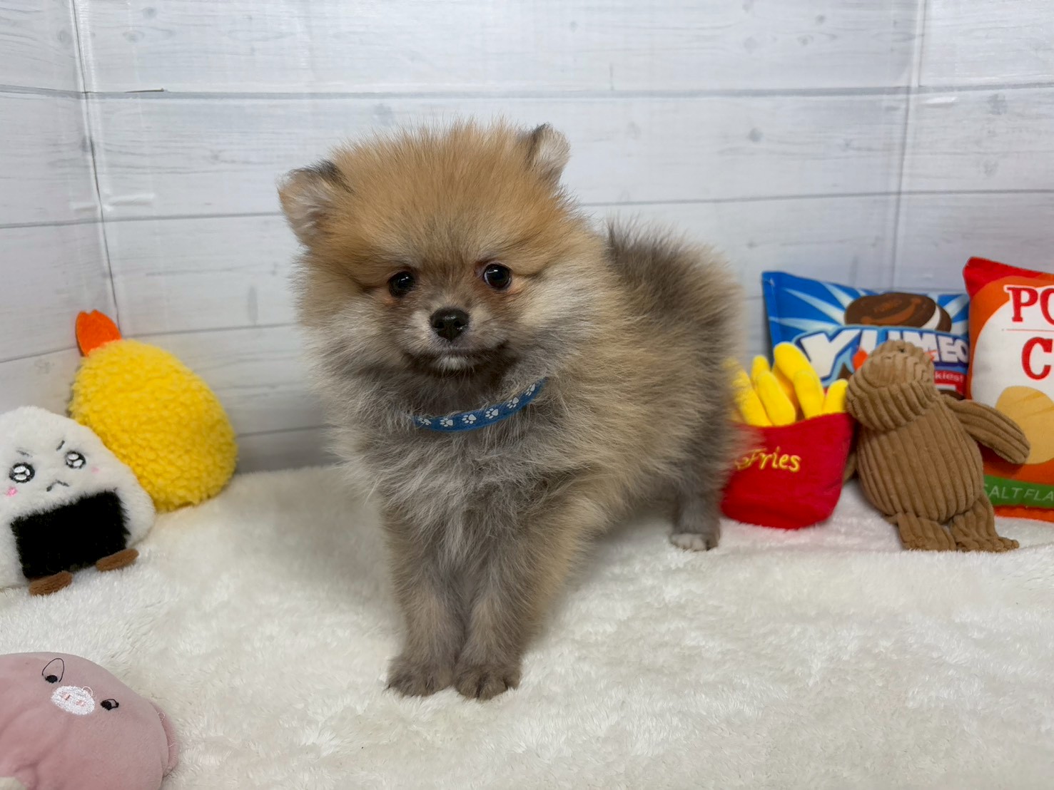 赤ちゃん写真3-1