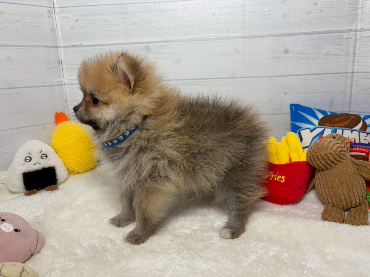 赤ちゃん写真3-2