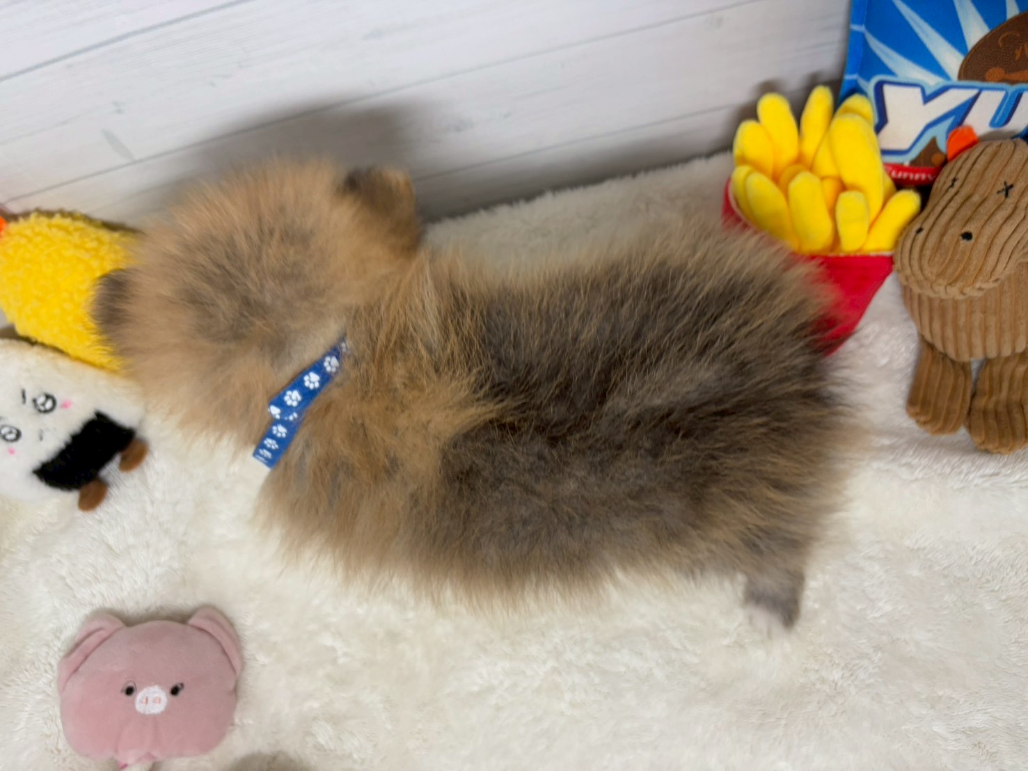 赤ちゃん写真3-3