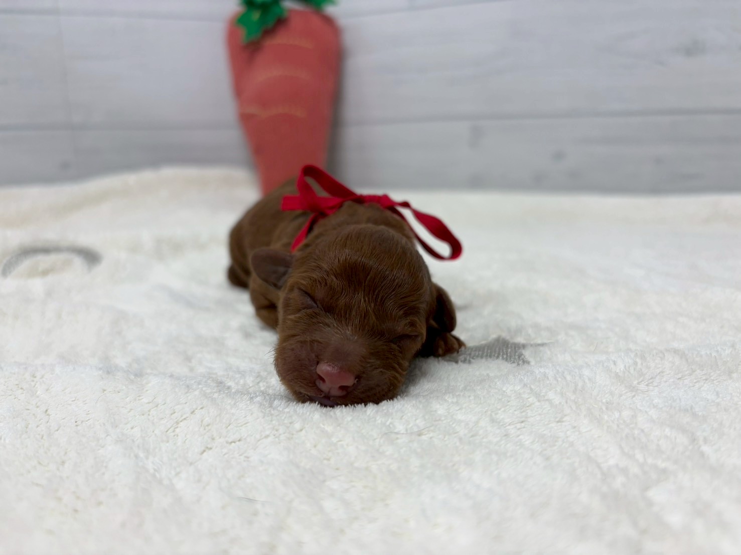 赤ちゃん写真1-1