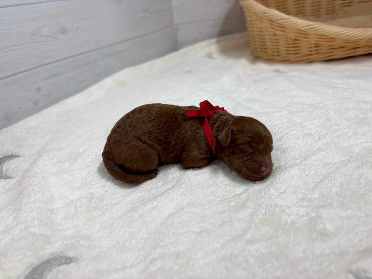 赤ちゃん写真1-2