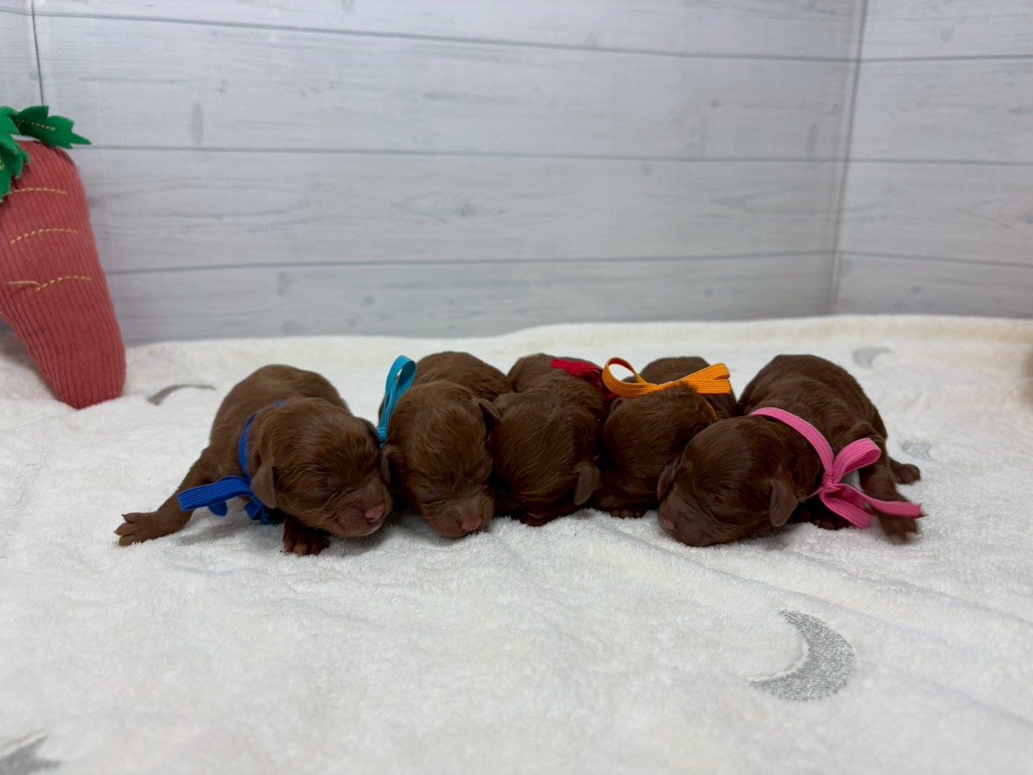 赤ちゃん写真1-3