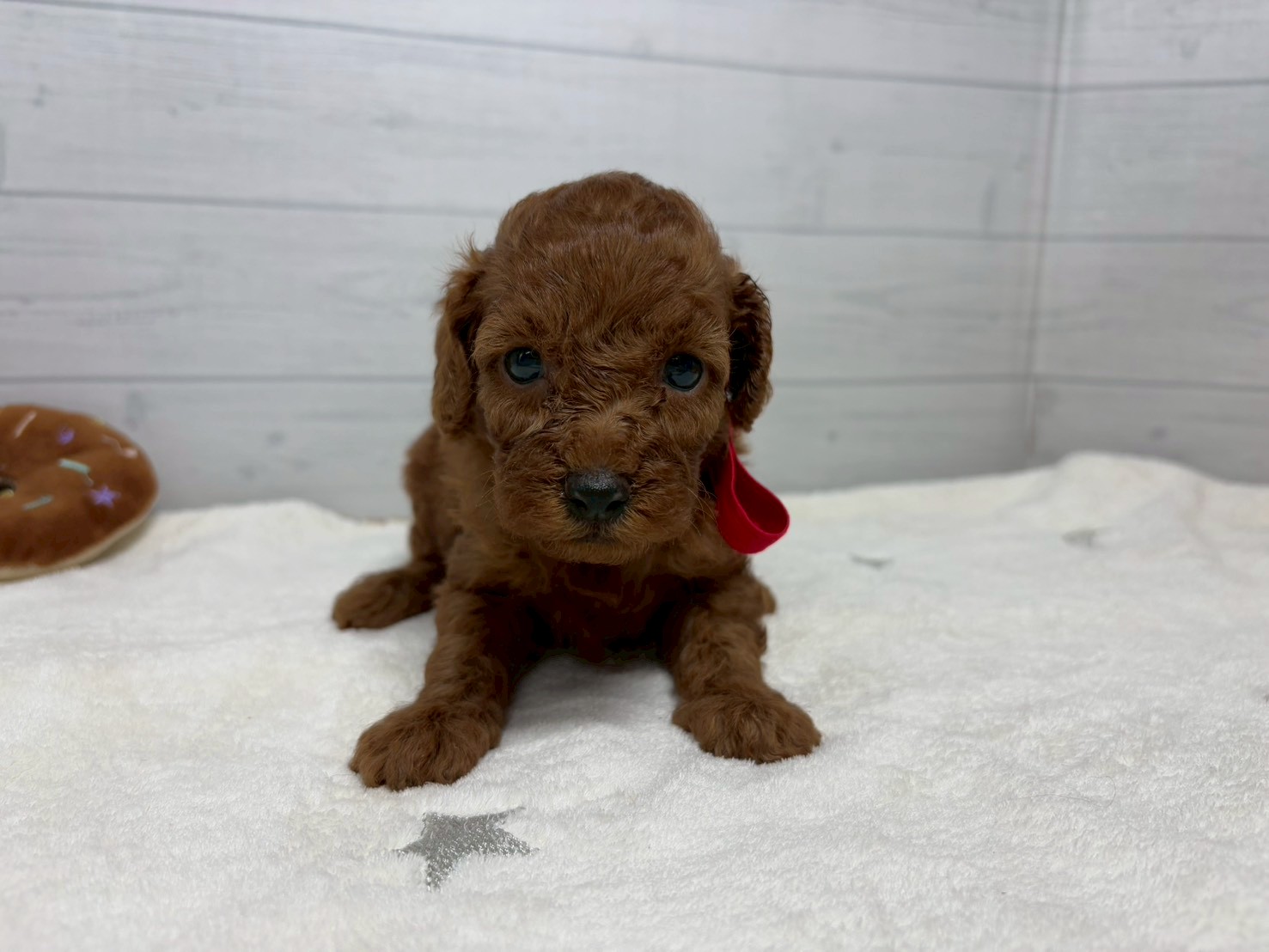 赤ちゃん写真2-1