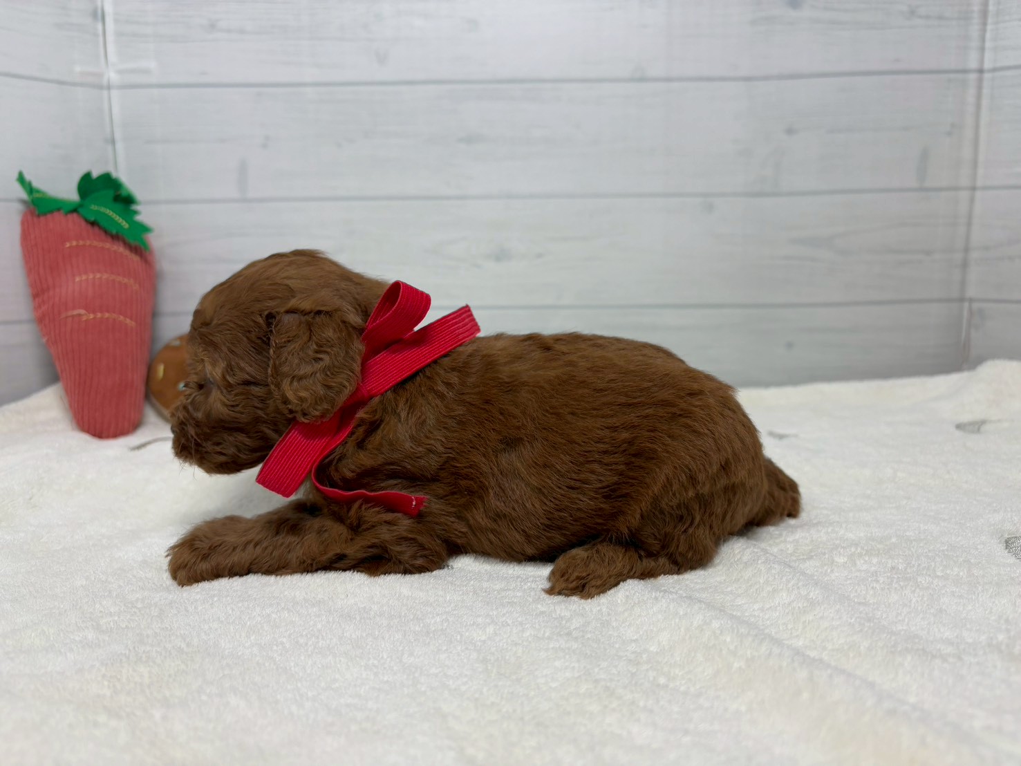 赤ちゃん写真2-2