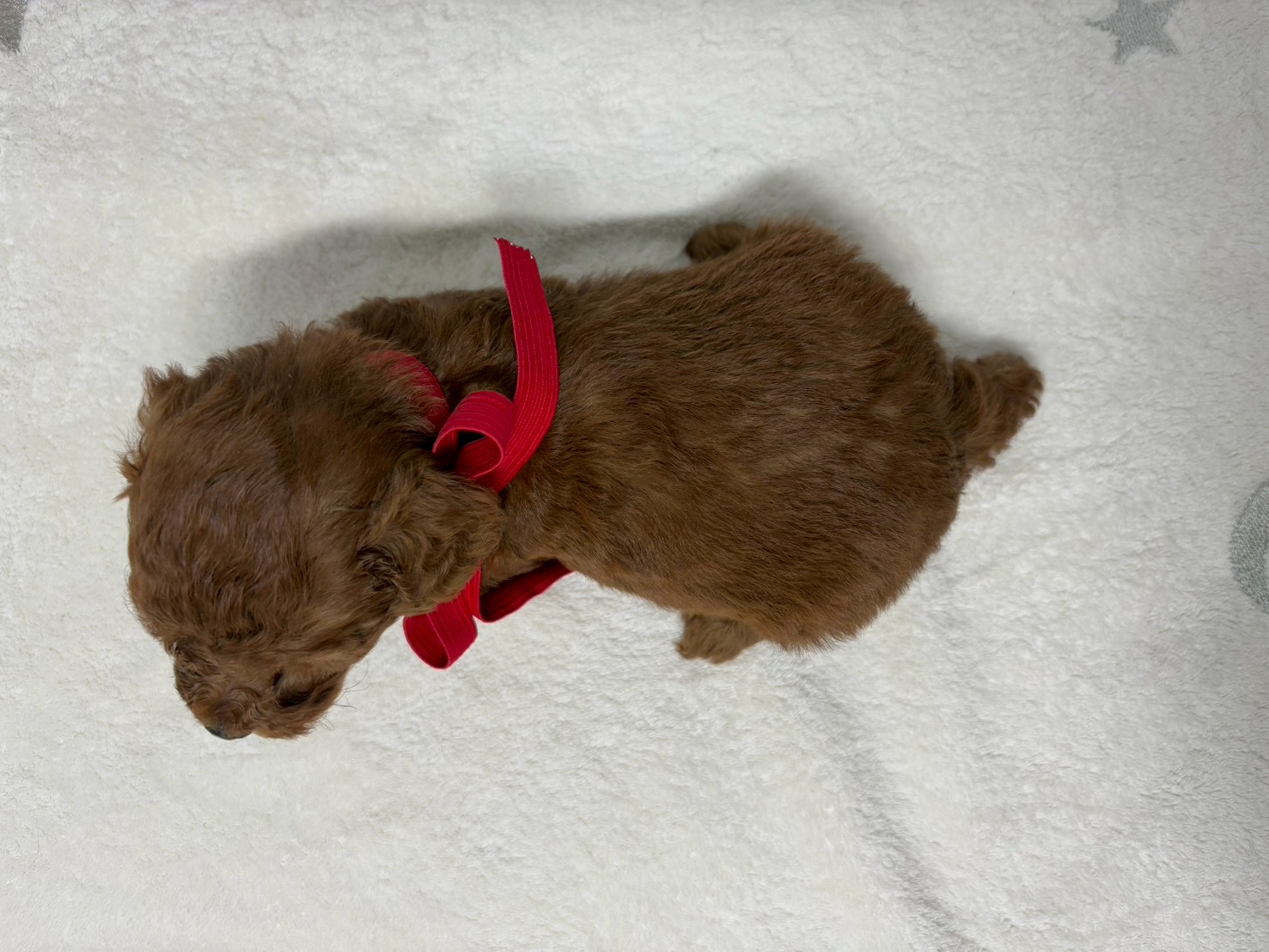 赤ちゃん写真2-3