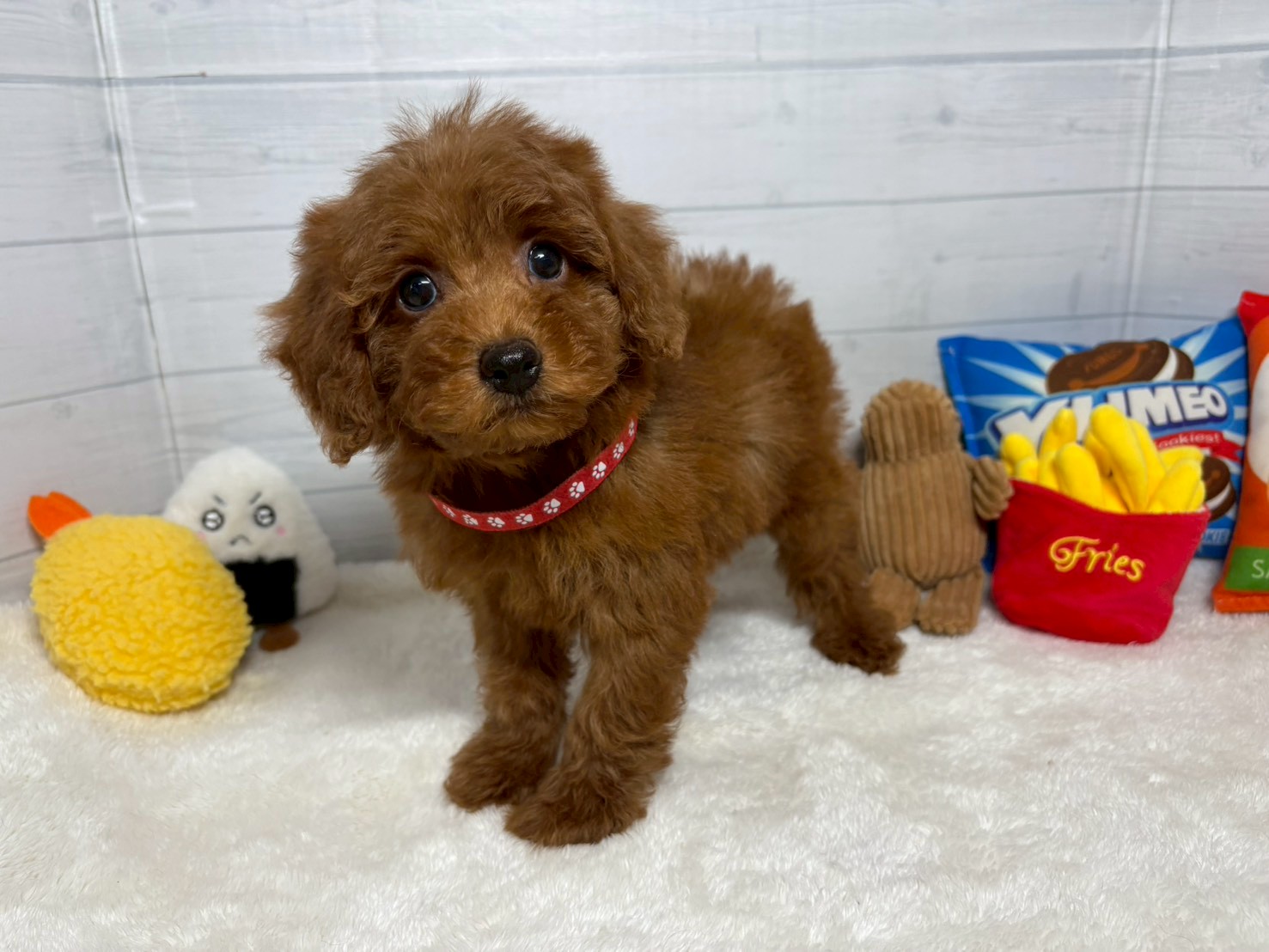 赤ちゃん写真3-1