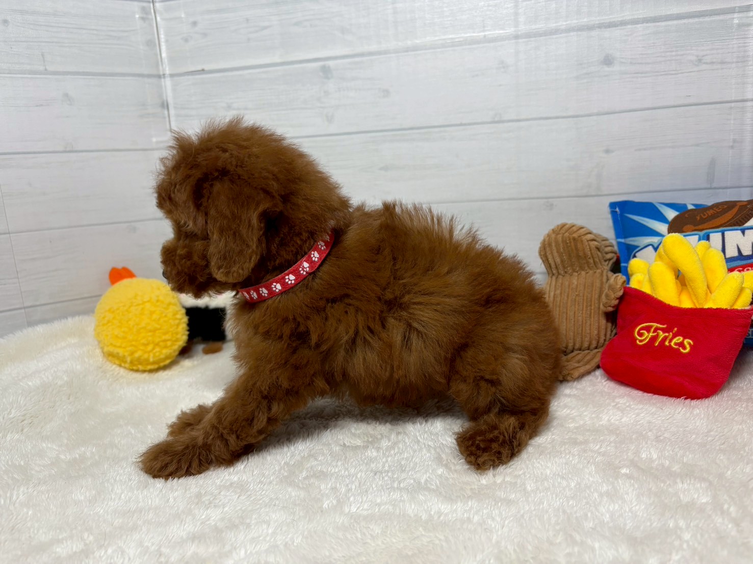 赤ちゃん写真3-2