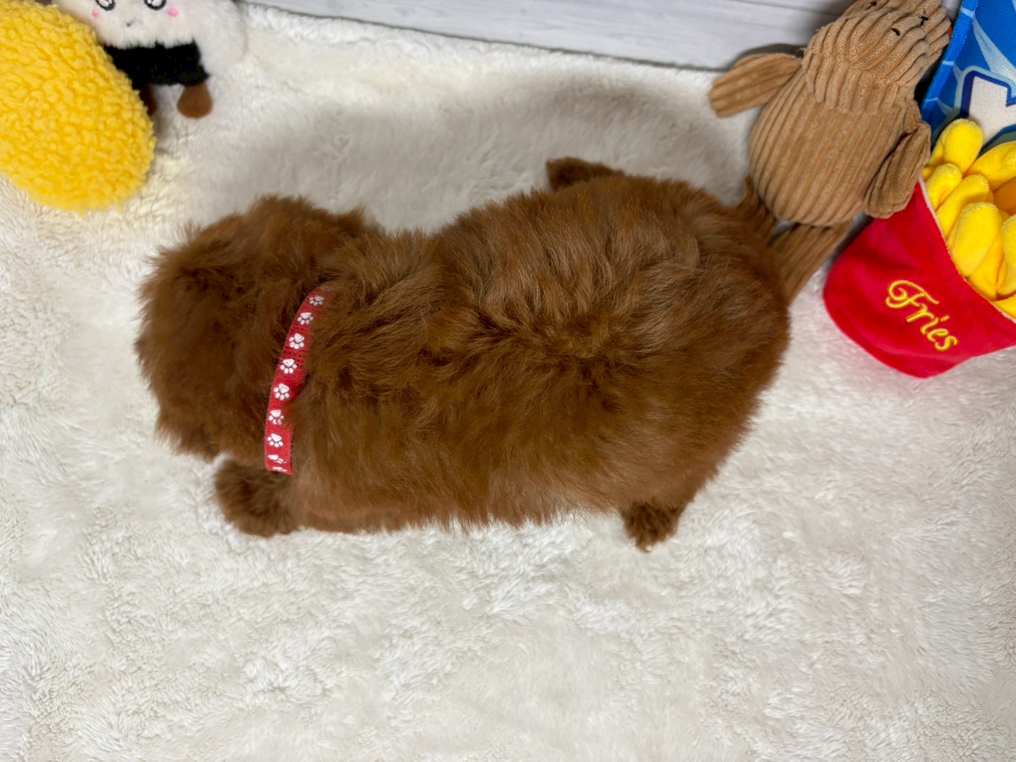 赤ちゃん写真3-3