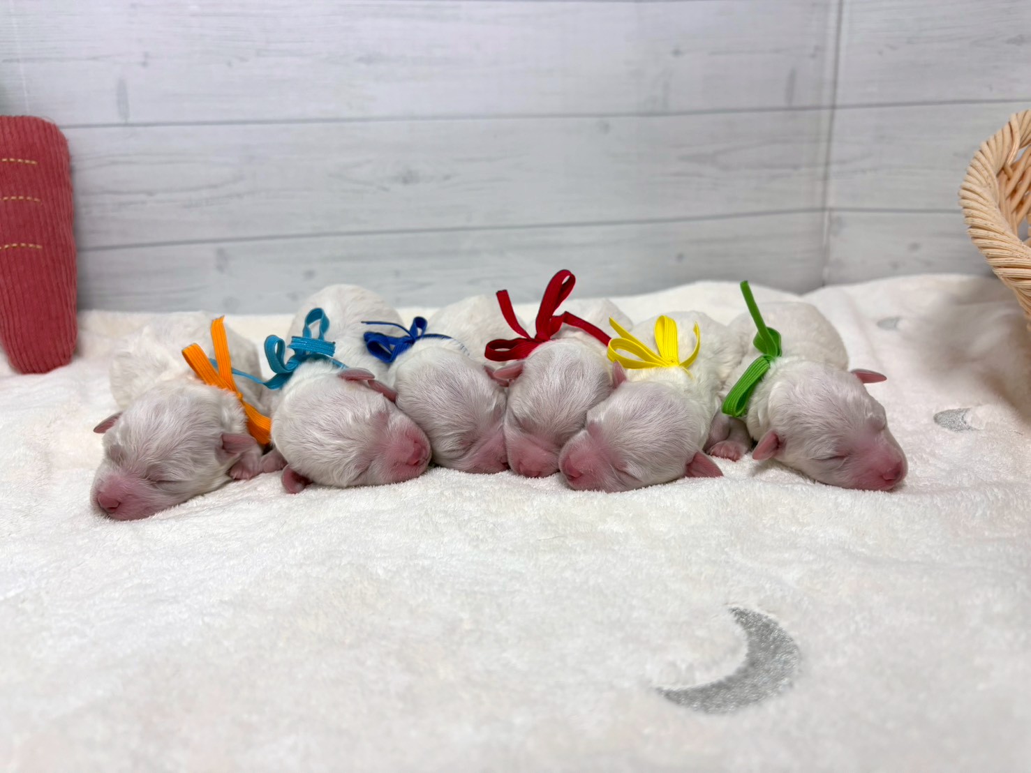 赤ちゃん写真1-3