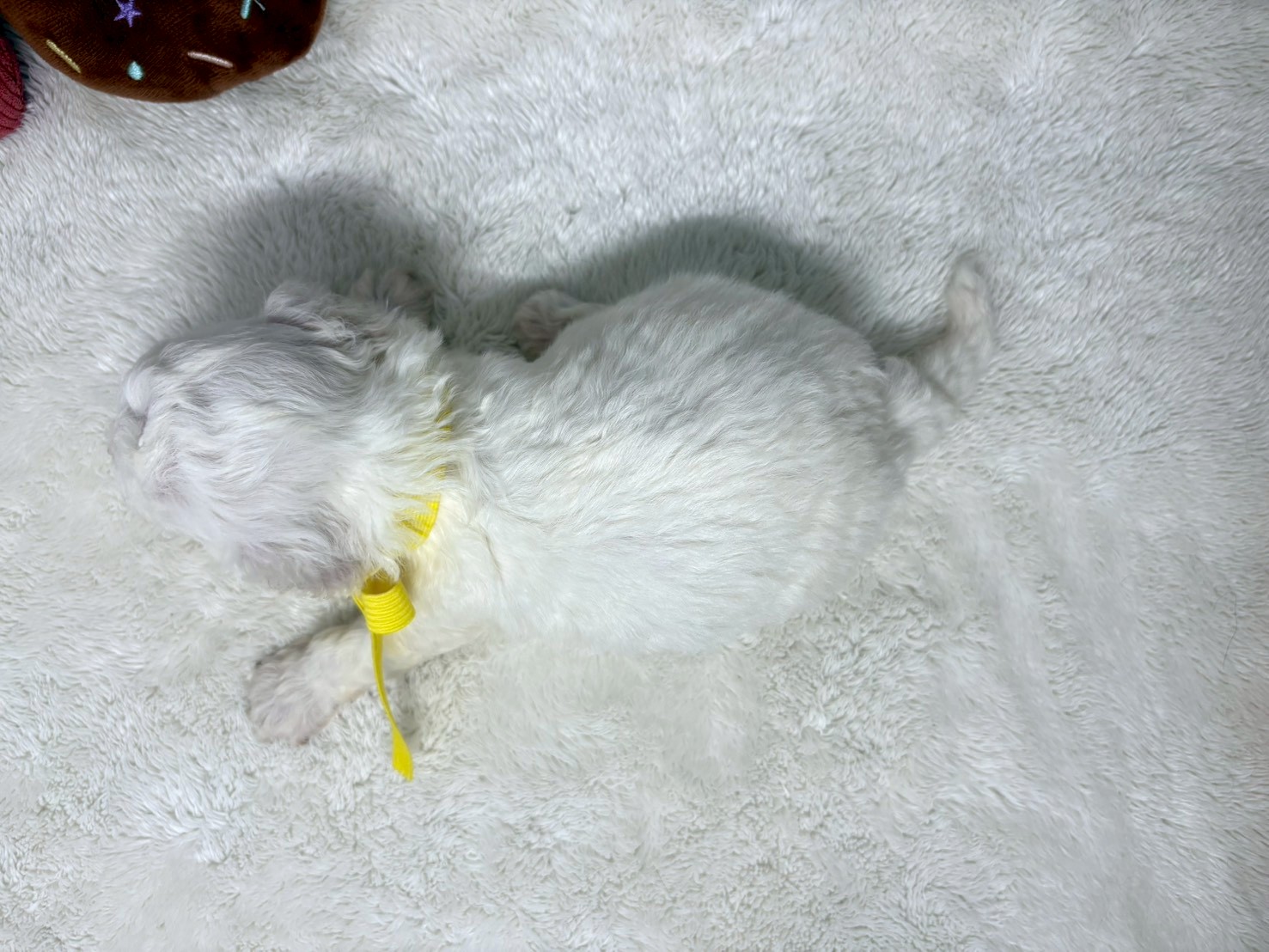 赤ちゃん写真2-3