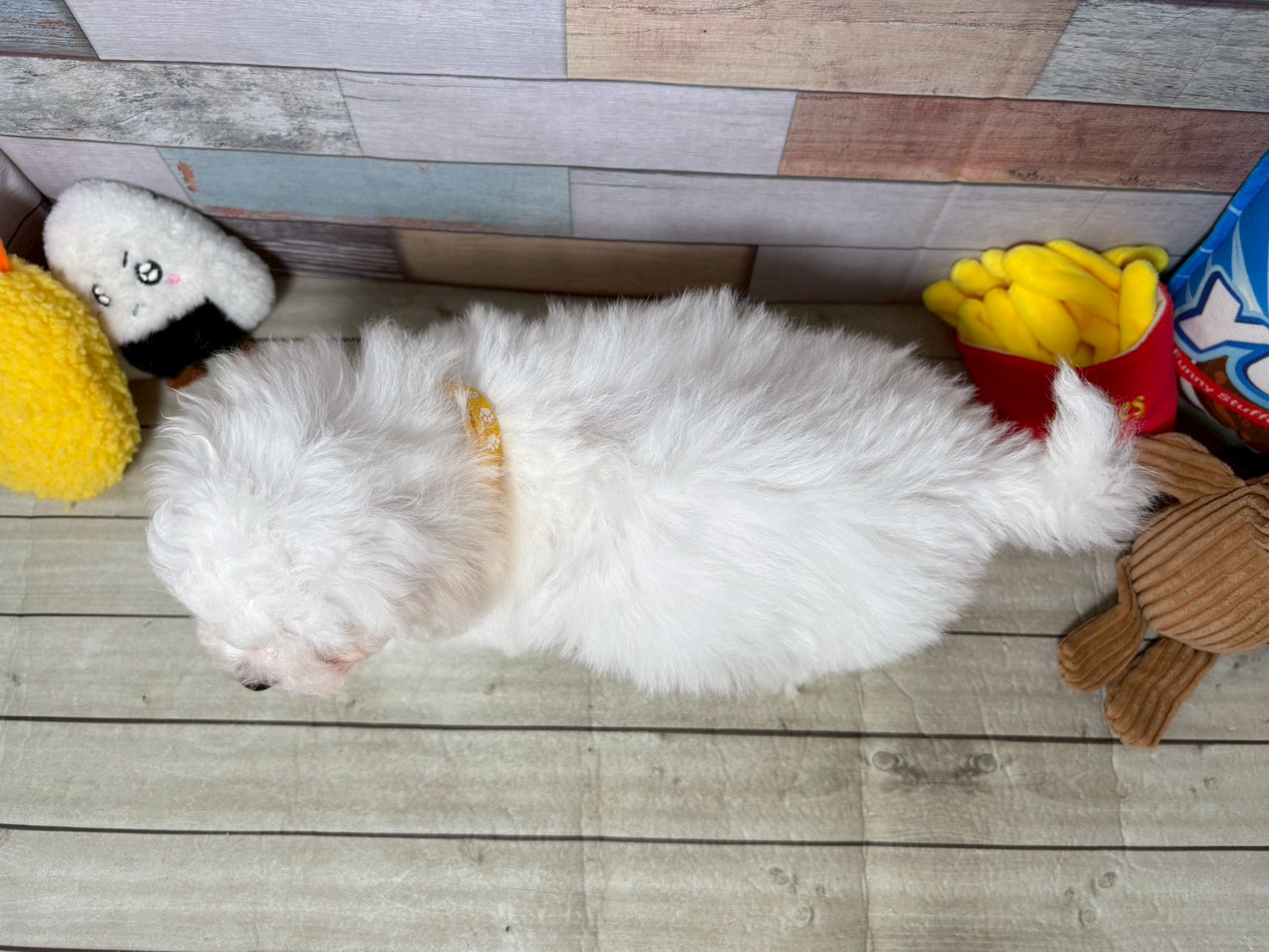 赤ちゃん写真3-3
