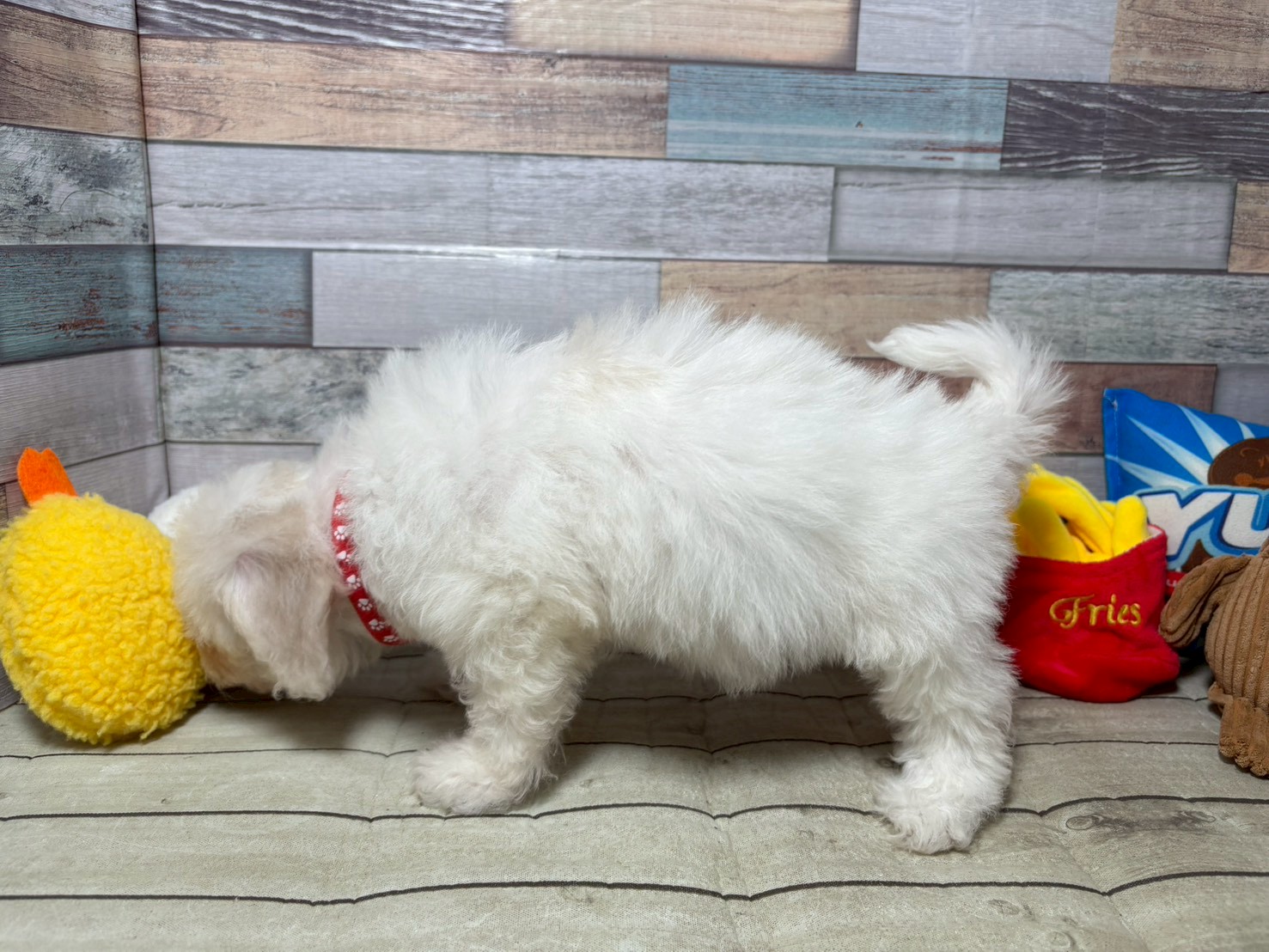 赤ちゃん写真3-2