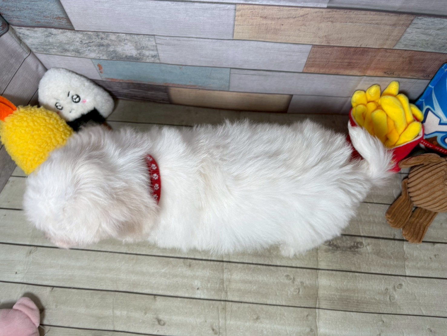 赤ちゃん写真3-3
