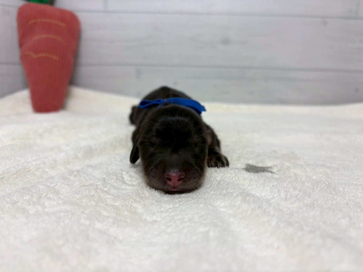 赤ちゃん写真1-1