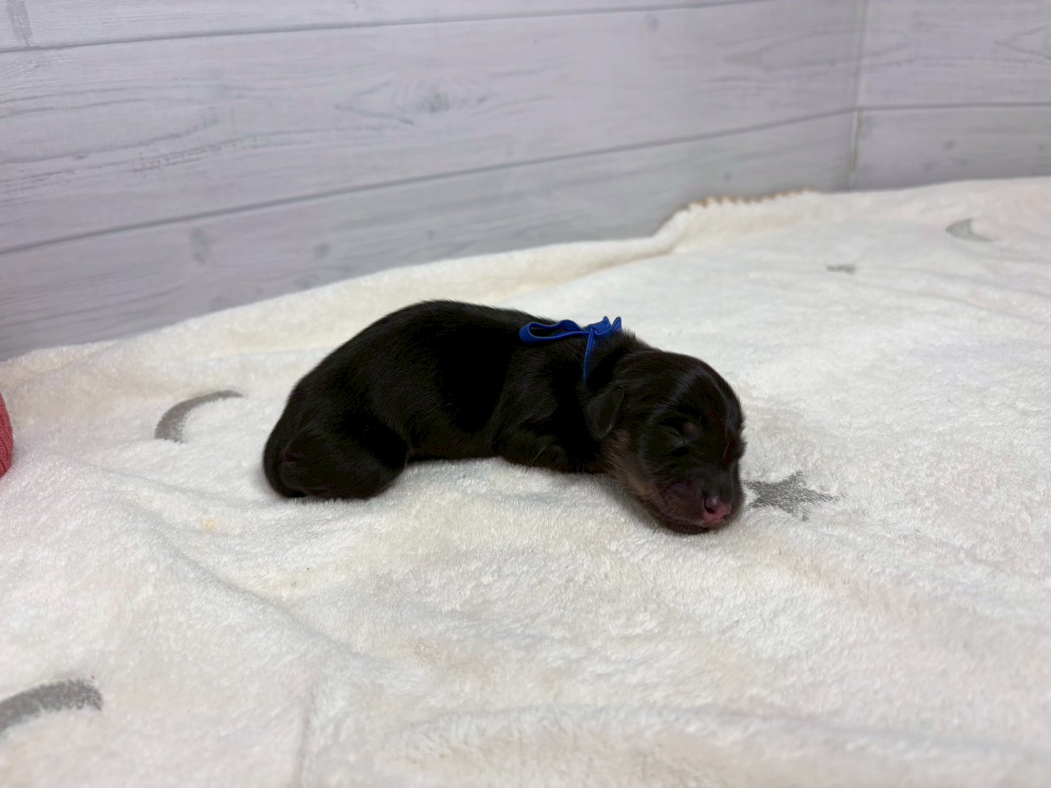 赤ちゃん写真1-2