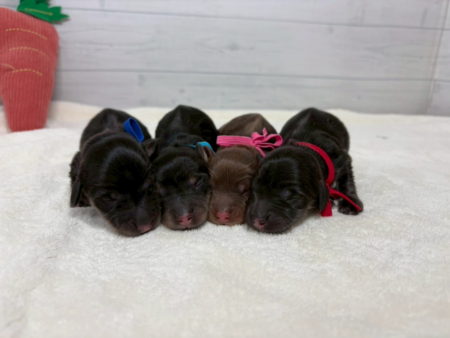 赤ちゃん写真1-3