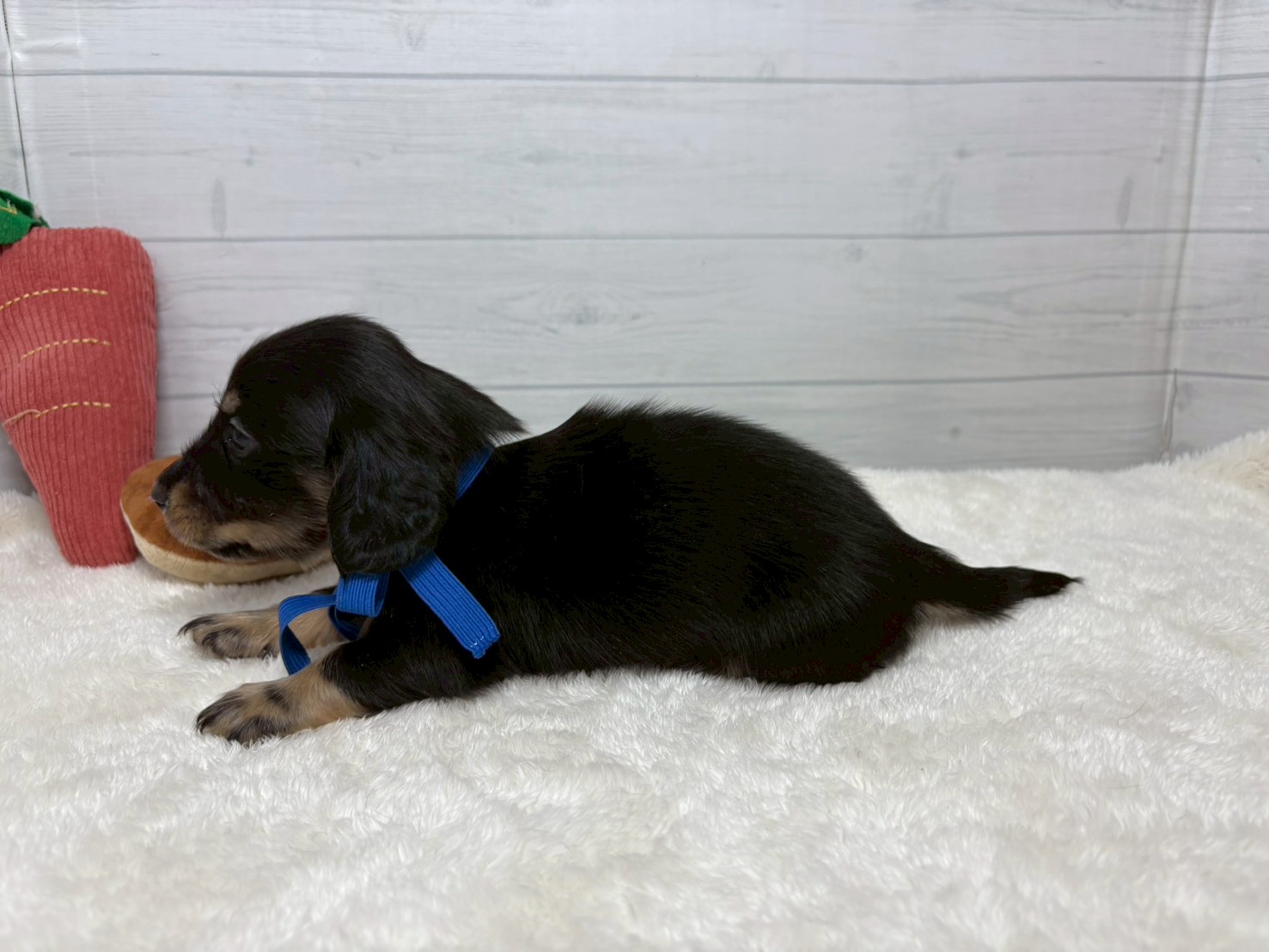 赤ちゃん写真2-2