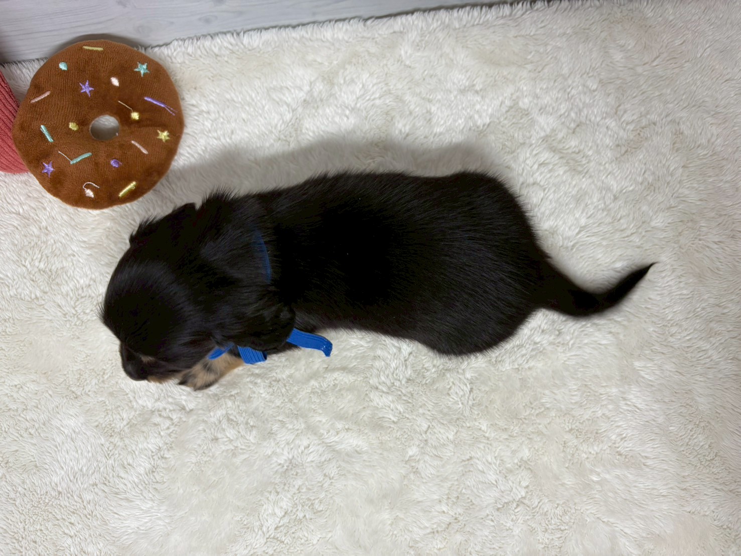 赤ちゃん写真2-3