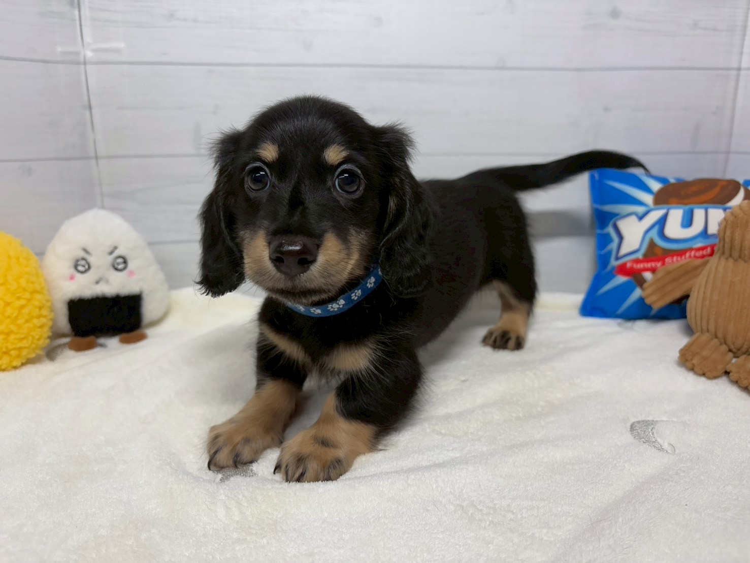 赤ちゃん写真3-1