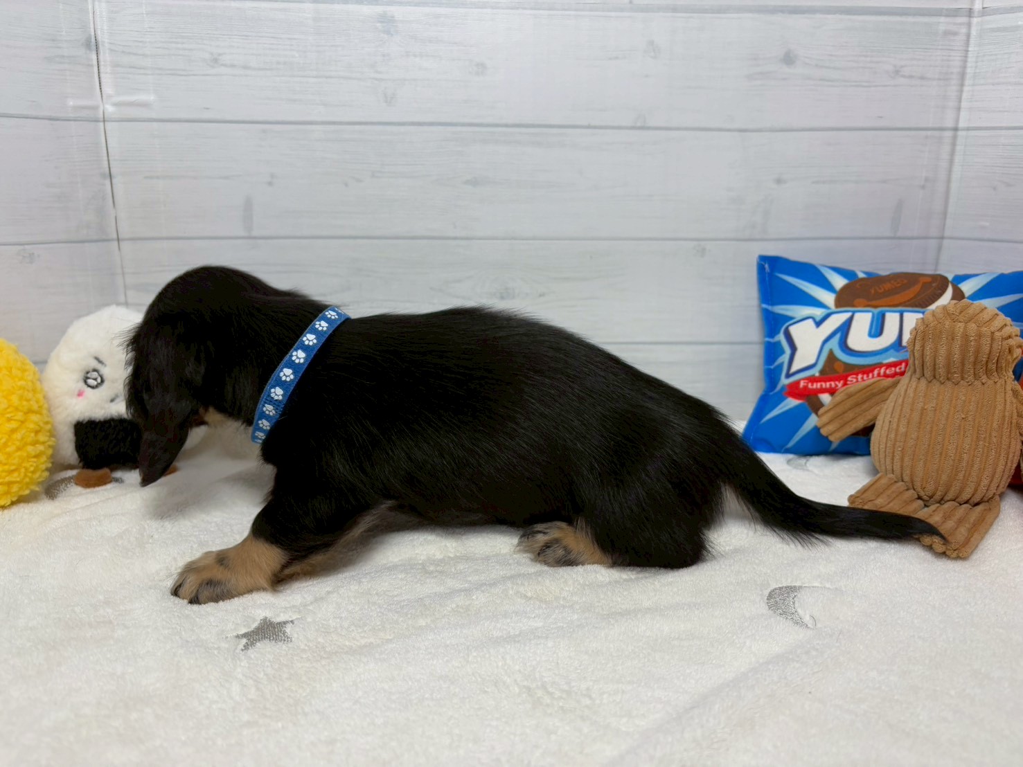 赤ちゃん写真3-2