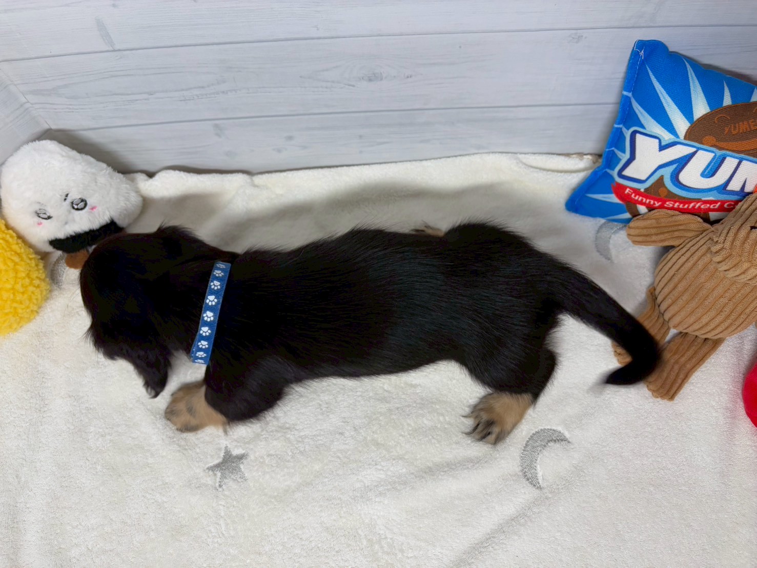 赤ちゃん写真3-3