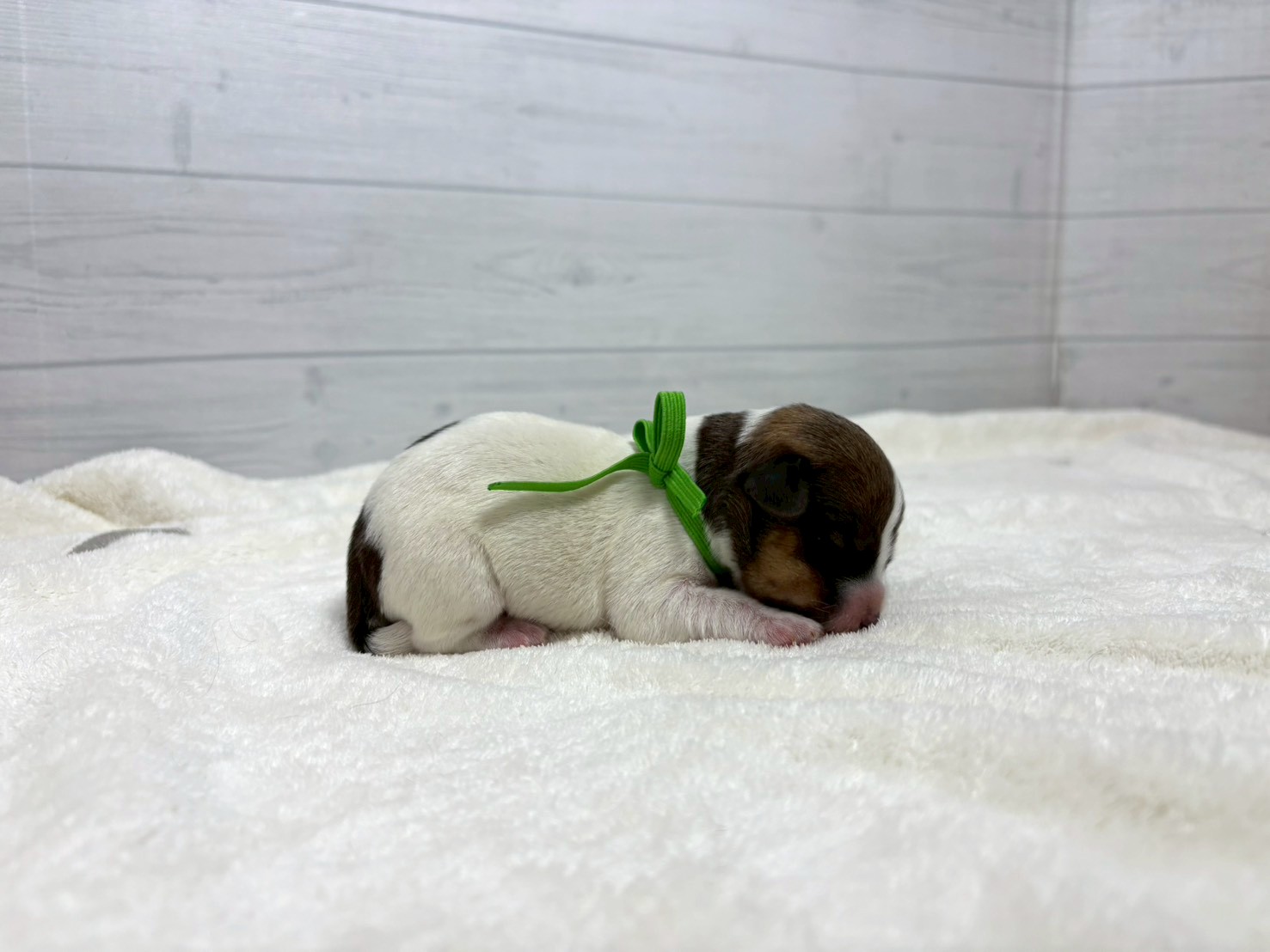 赤ちゃん写真1-2