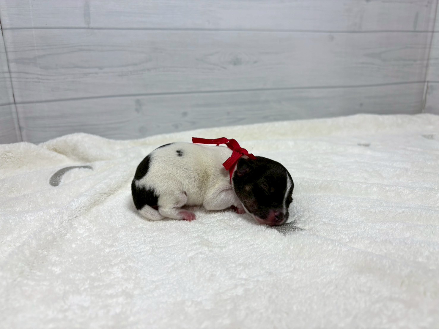 赤ちゃん写真1-2