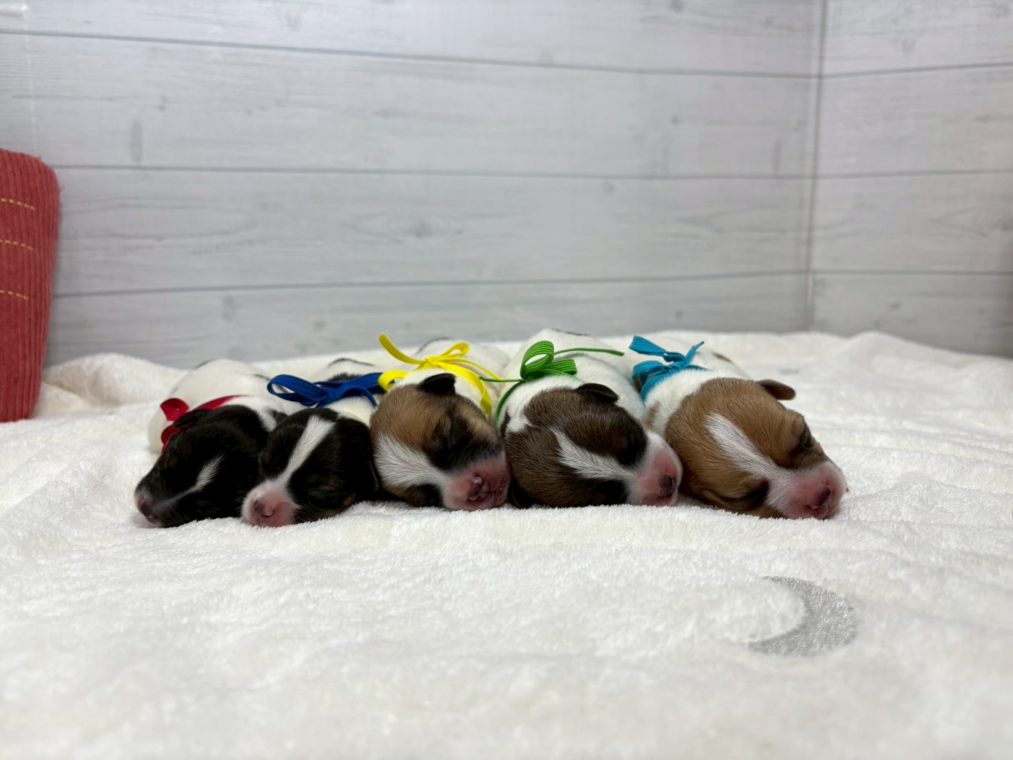 赤ちゃん写真1-3