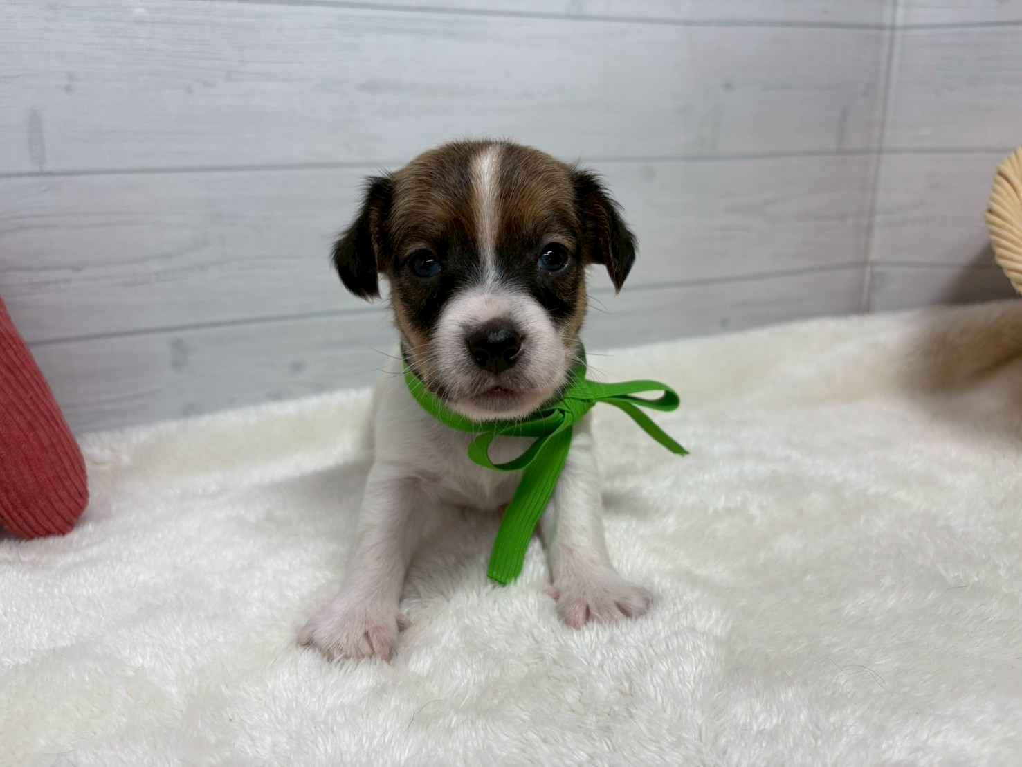 赤ちゃん写真2-1