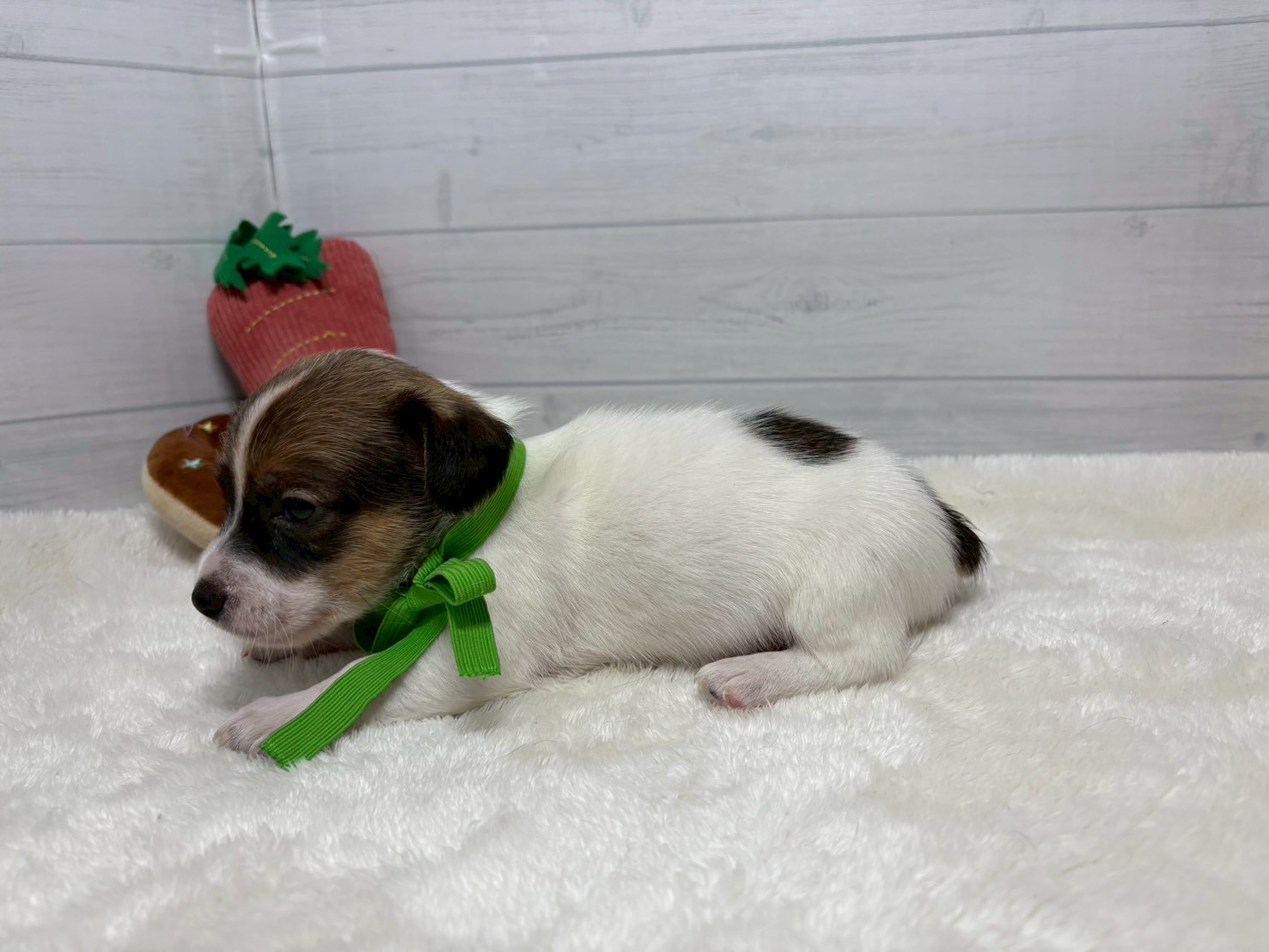 赤ちゃん写真2-2