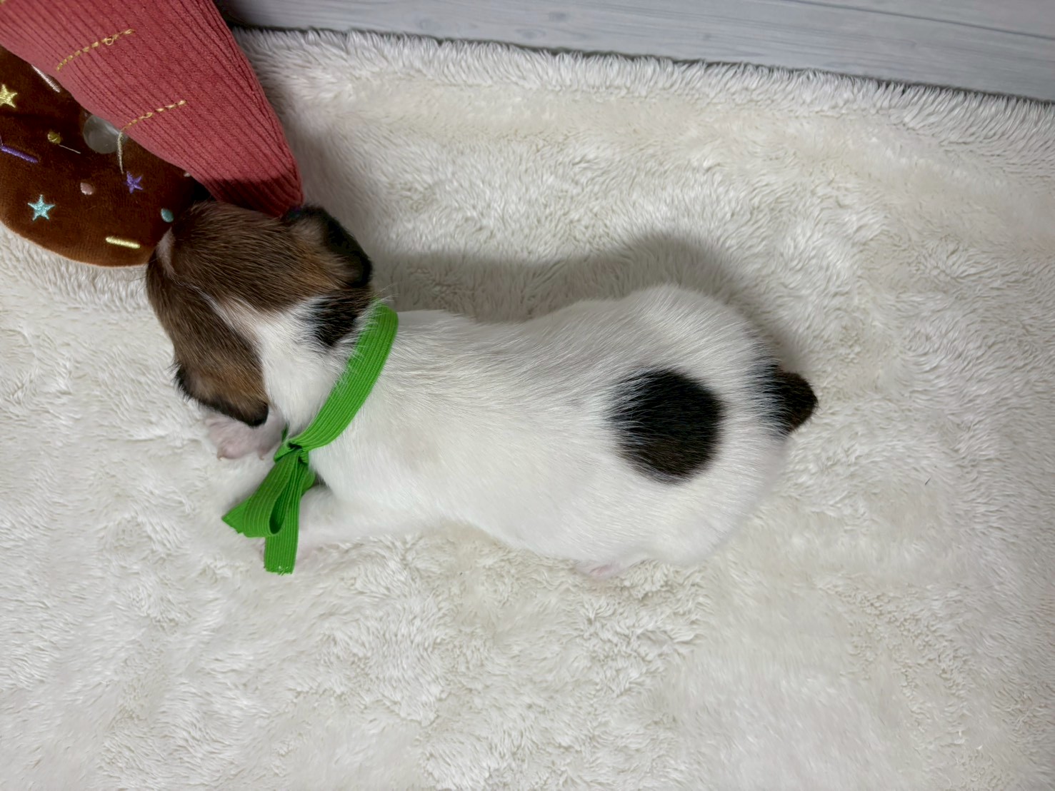 赤ちゃん写真2-3