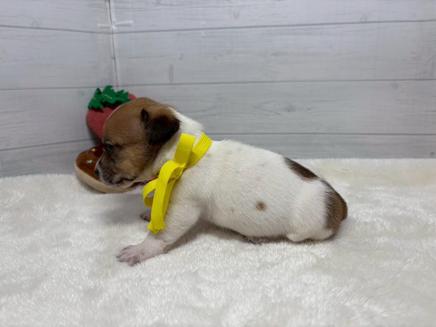 赤ちゃん写真2-2