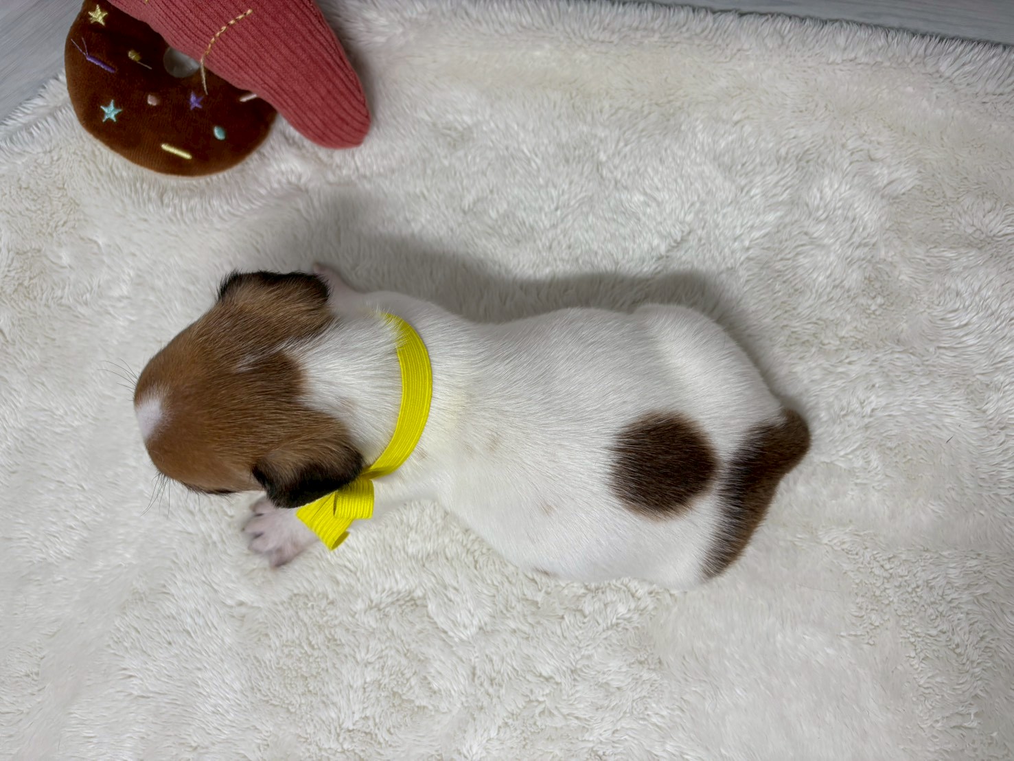 赤ちゃん写真2-3