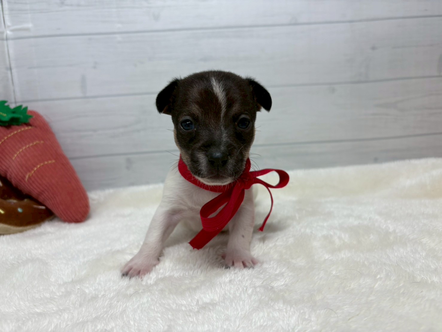 赤ちゃん写真2-1