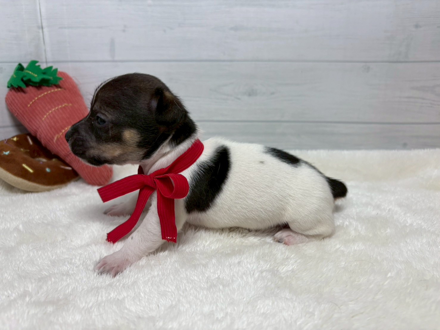 赤ちゃん写真2-2