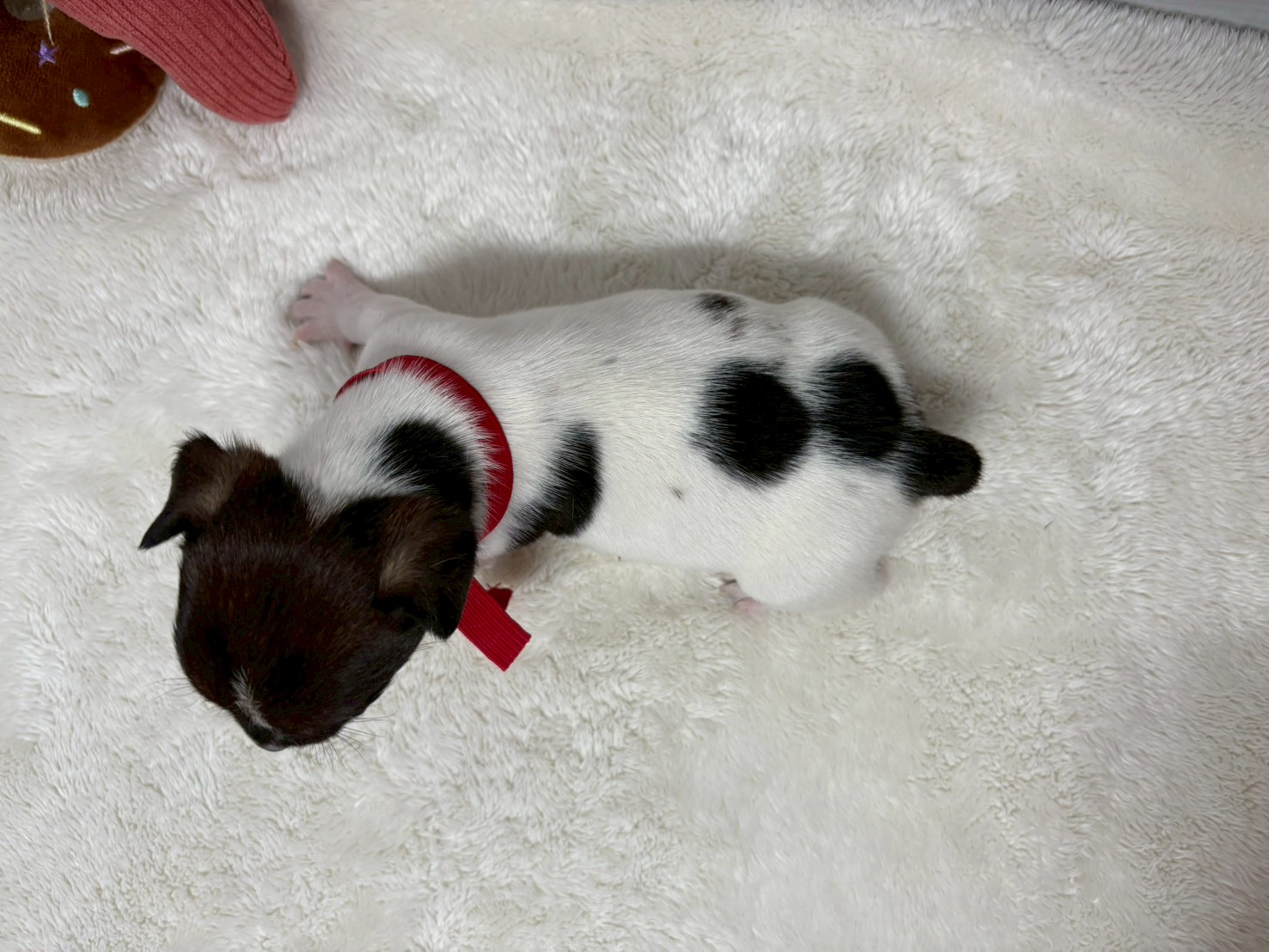 赤ちゃん写真2-3