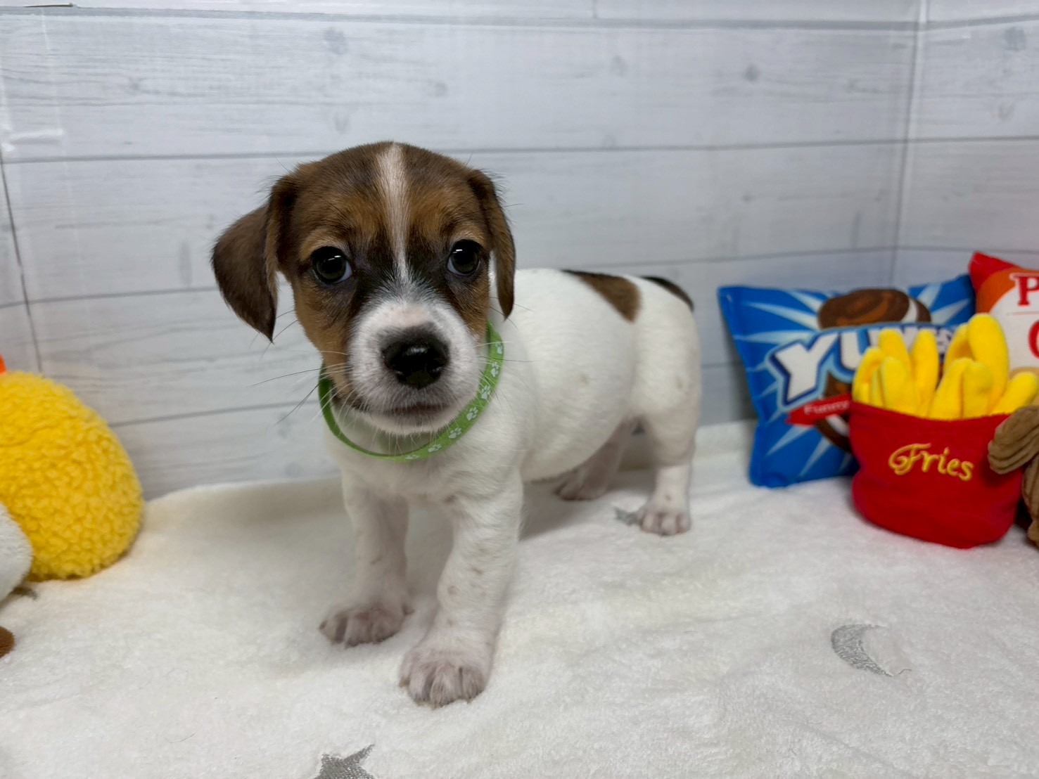 赤ちゃん写真3-1