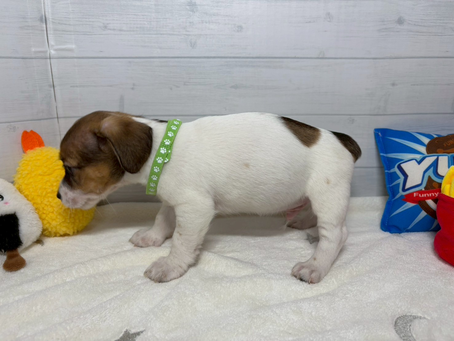 赤ちゃん写真3-2