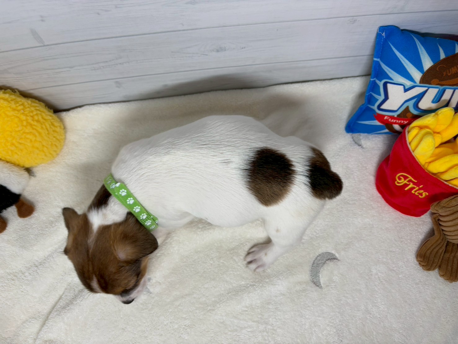 赤ちゃん写真3-3