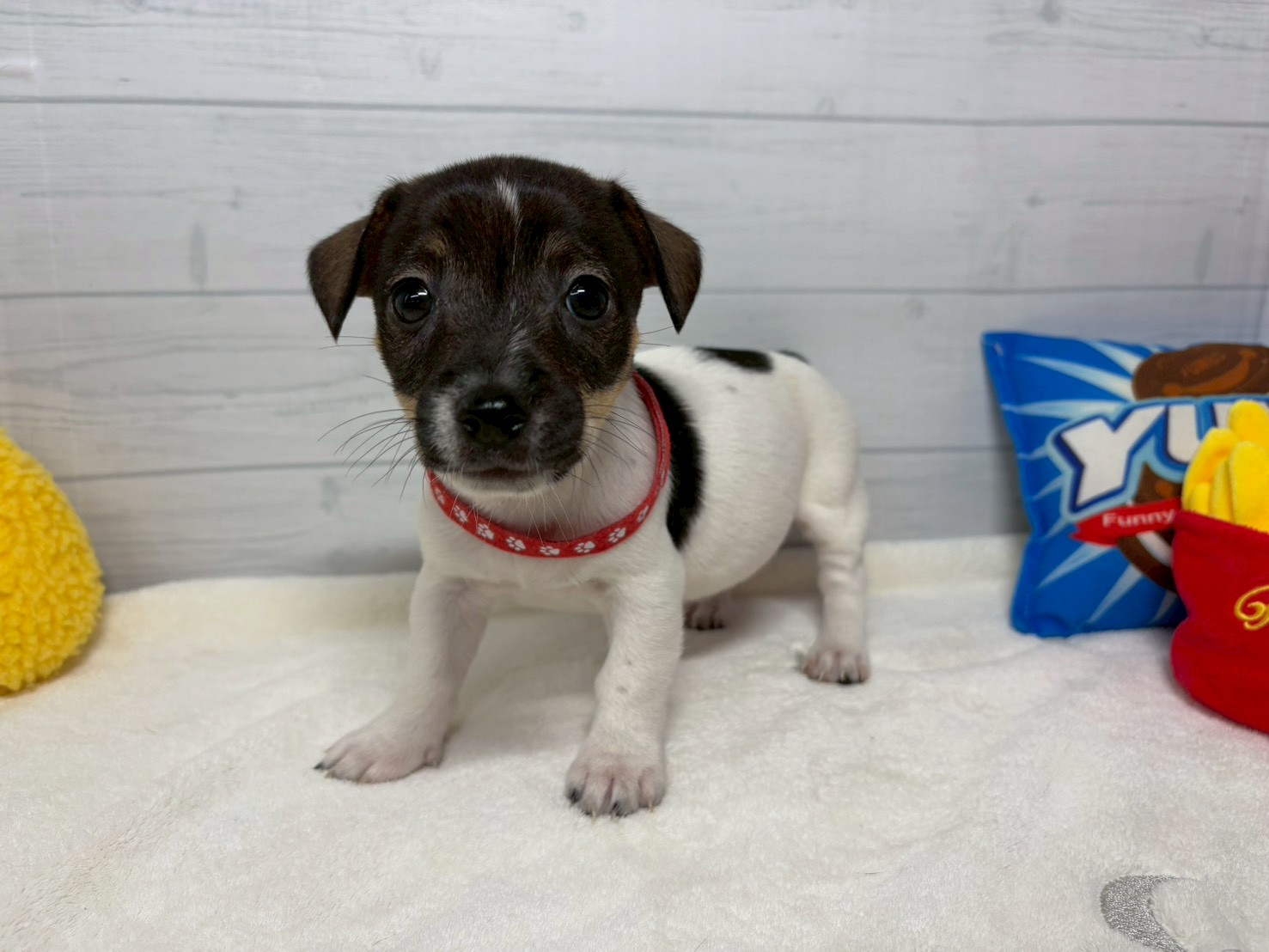 赤ちゃん写真3-1