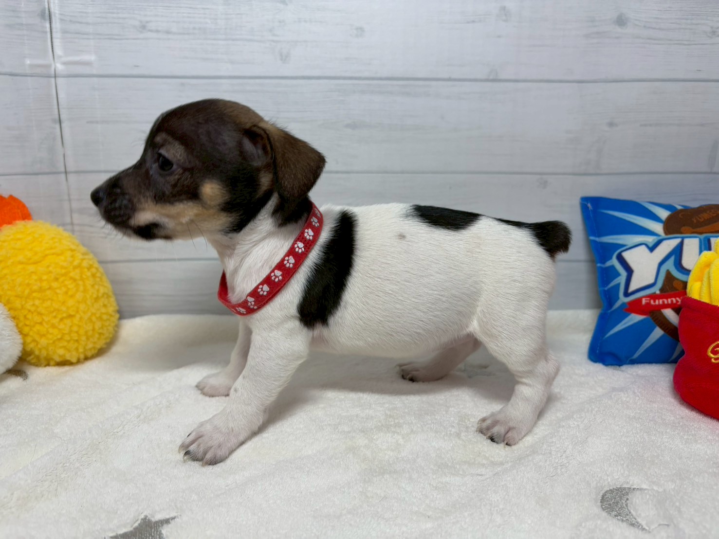 赤ちゃん写真3-2