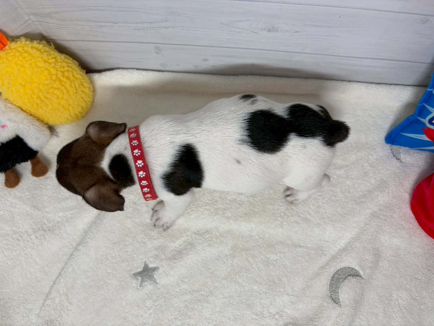 赤ちゃん写真3-3